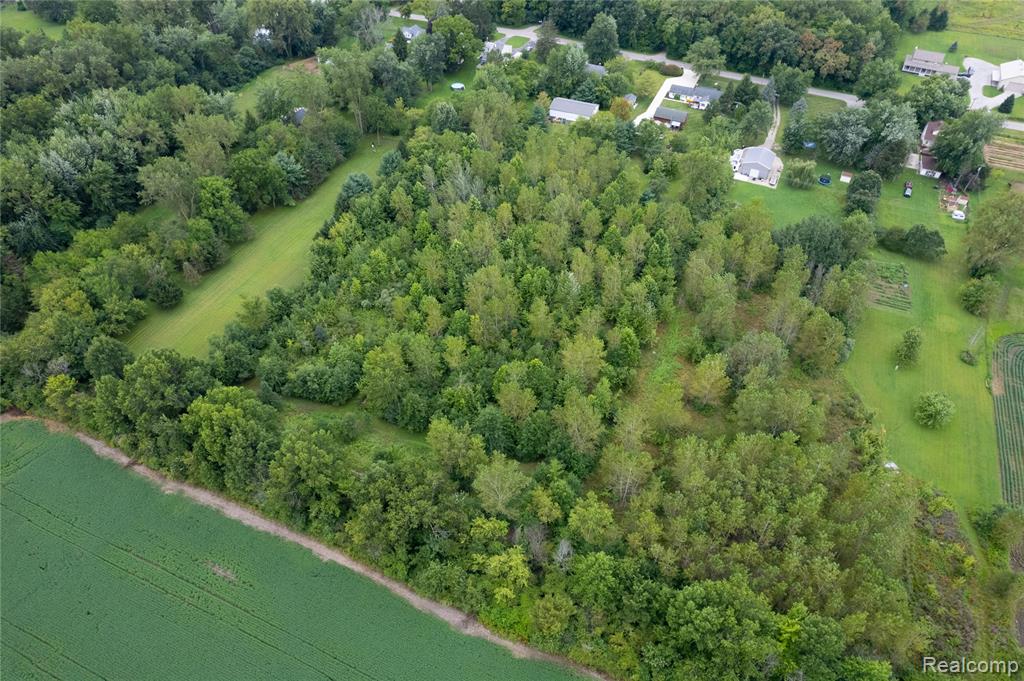 10784 Exeter Road, Carleton, MI 48117 — Photo 52