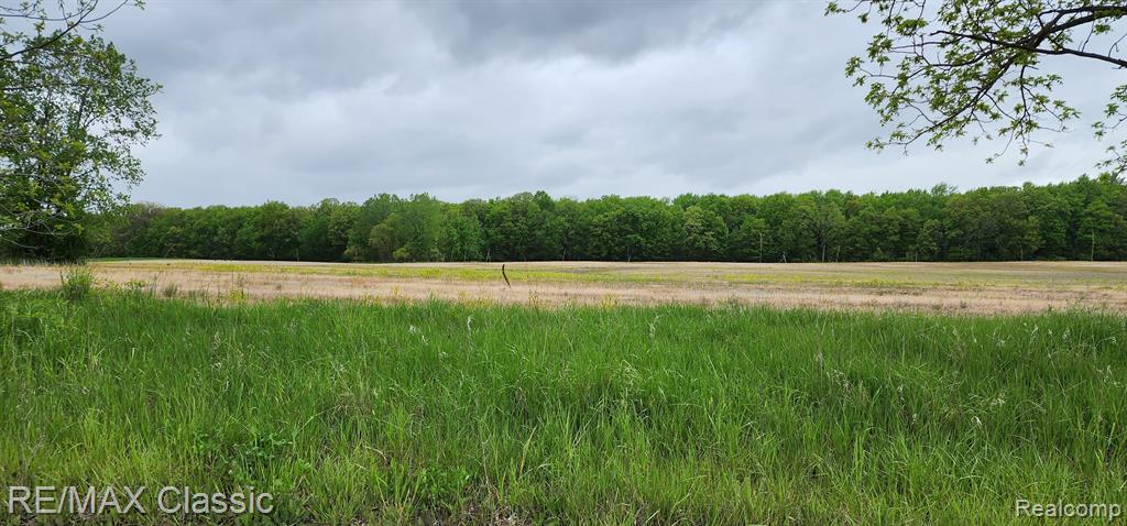 8520 ARKONA Road, Clinton, MI, 49236