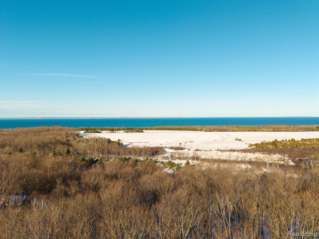 lot 4 BAY RIDGE ESTATES Drive, Ellsworth, MI 49729 — Photo 12