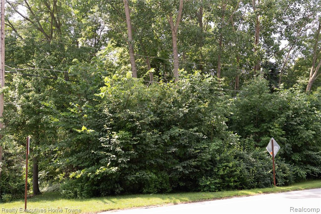 4363 North River Road, Fort Gratiot, MI 48059 — Photo 9