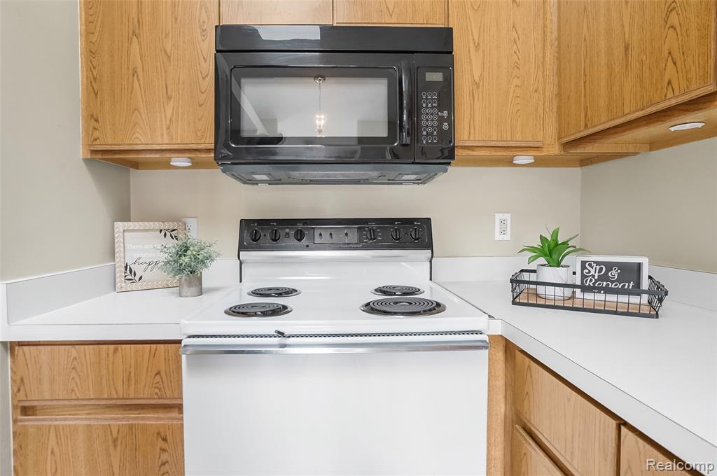 62512 Raleigh Court Court, 4, South Lyon, MI 48178 — Photo 14