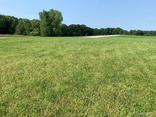 Lot 1 Misty Meadow Road, Howell, MI 48843 — Photo 4