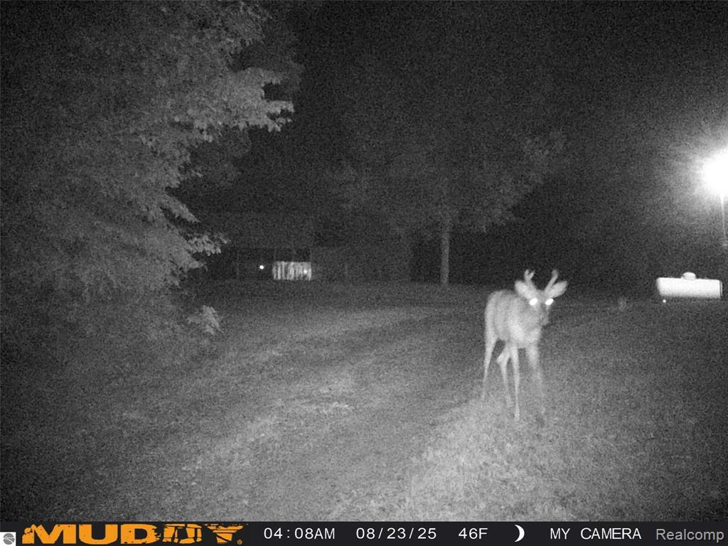 10694 Freeman Road, Mesick, MI 49668 — Photo 14