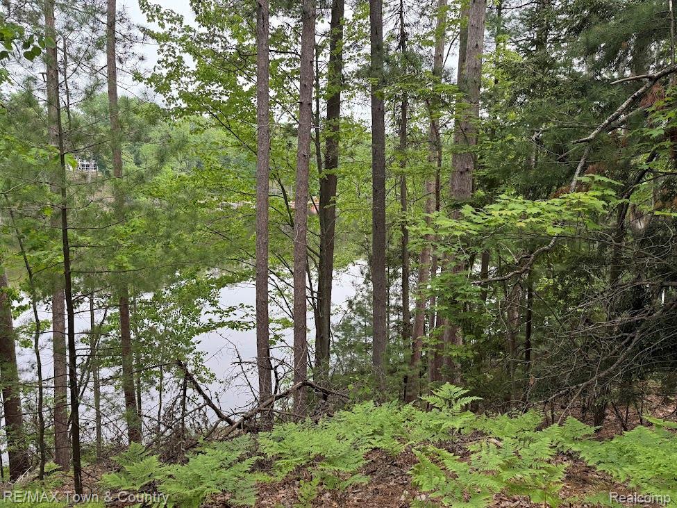 6450 Otter Trail Road, Alger, MI 48610 — Photo 8