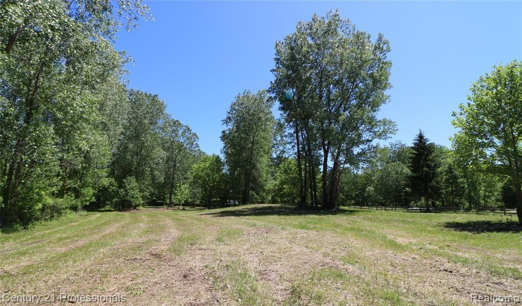VACANT LAND Nicholson Road, Handy, MI 48836 — Photo 4