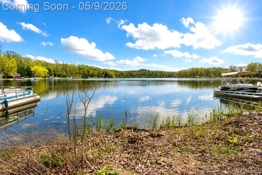 608 Island Lake Road, Chelsea, MI 48118 — Photo 4
