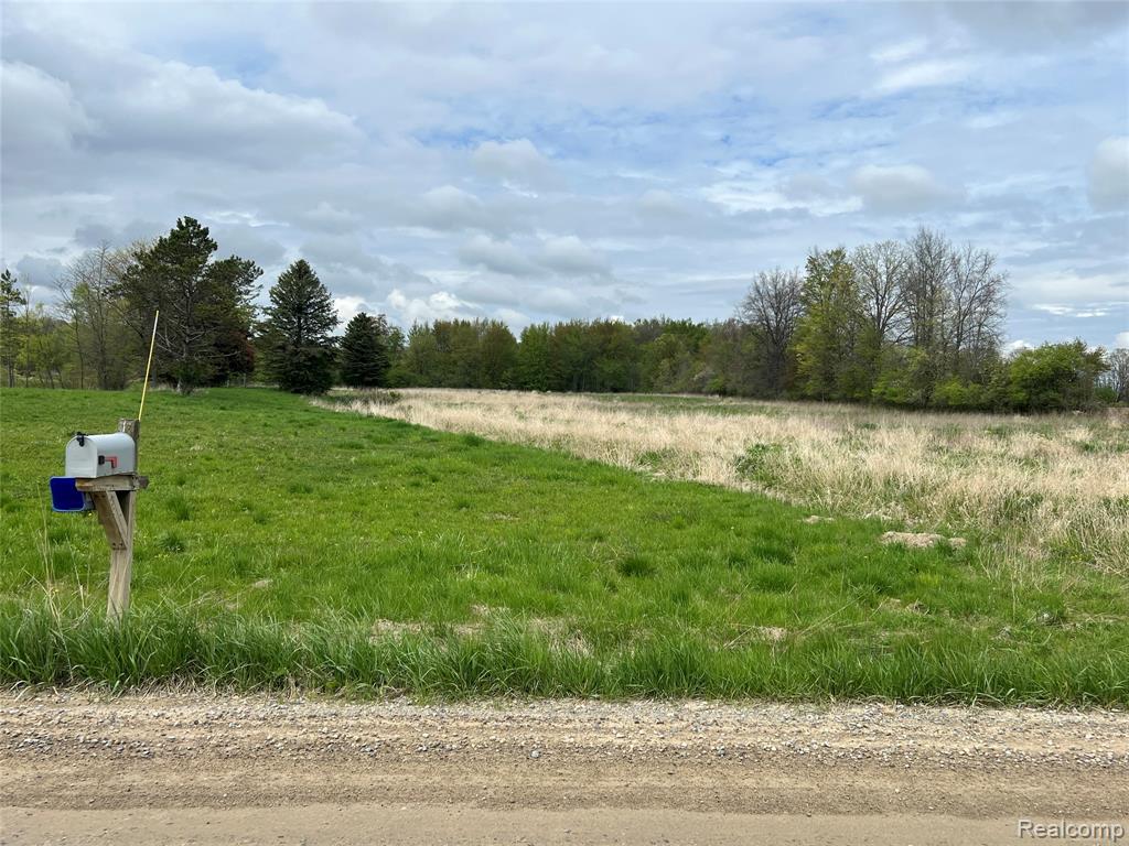 8145 Oatman Road, Greenwood, MI 48006 — Photo 2