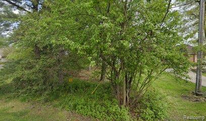 1485 Dell Rose Drive, Bloomfield Hills, MI 48302