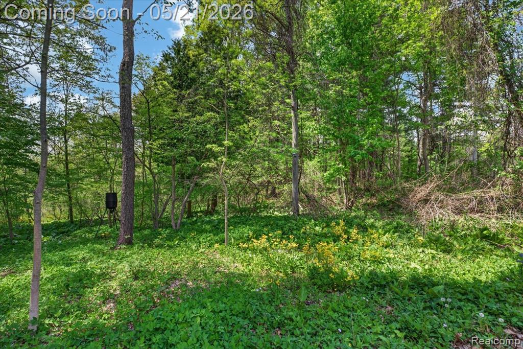 841 Sands Road, Ortonville, MI 48462 — Photo 39