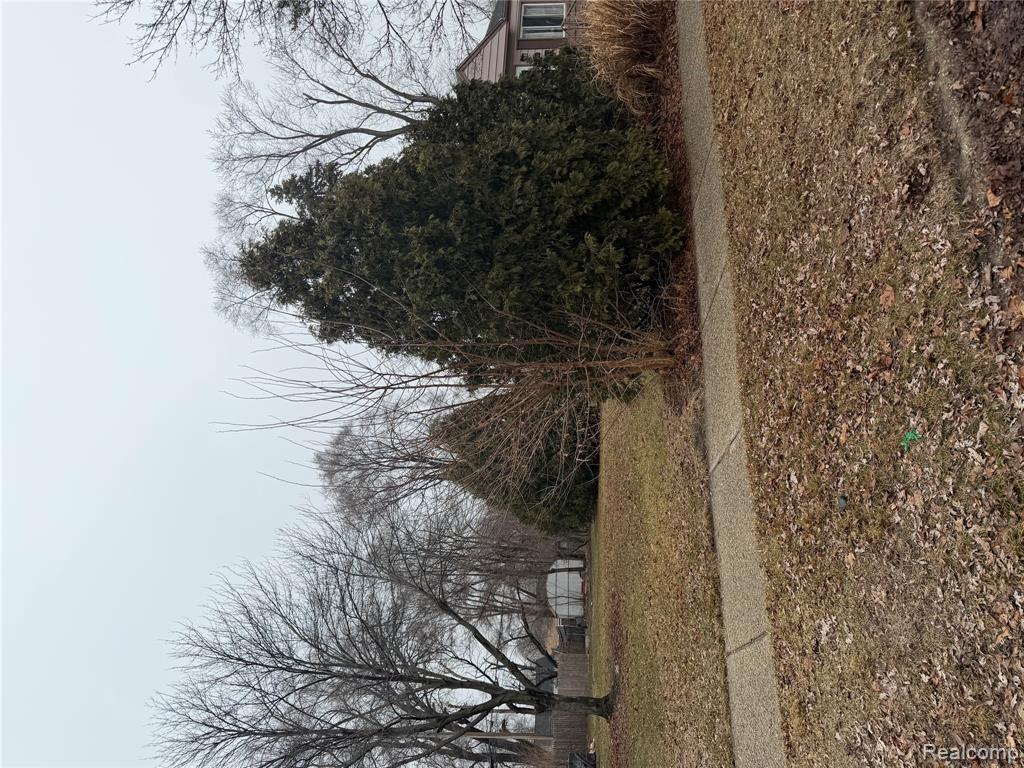 Lot #34 E Madge, Hazel Park, MI 48030 — Photo 3