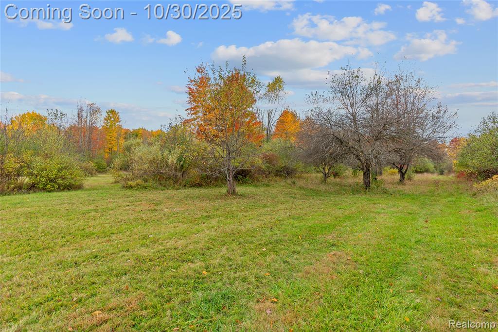 7777 Jordan Road, Yale, MI 48097 — Photo 32