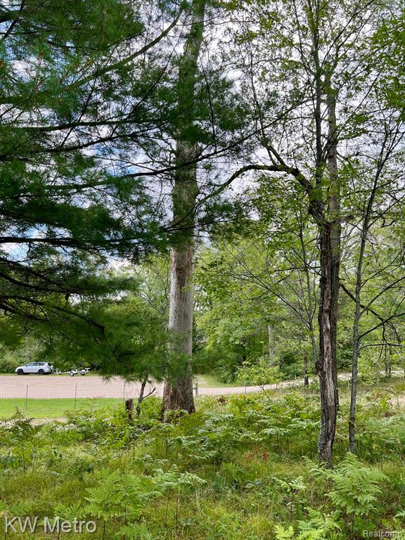 6629 S Tampa, Idlewild, MI 49642 — Photo 12