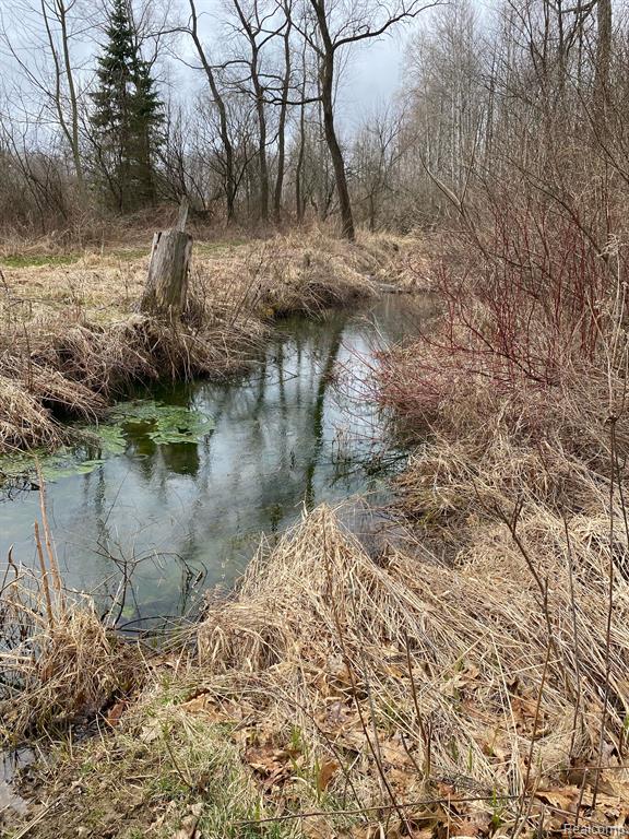4580 FAMILY Lane, Kingston, MI 48741 — Photo 3
