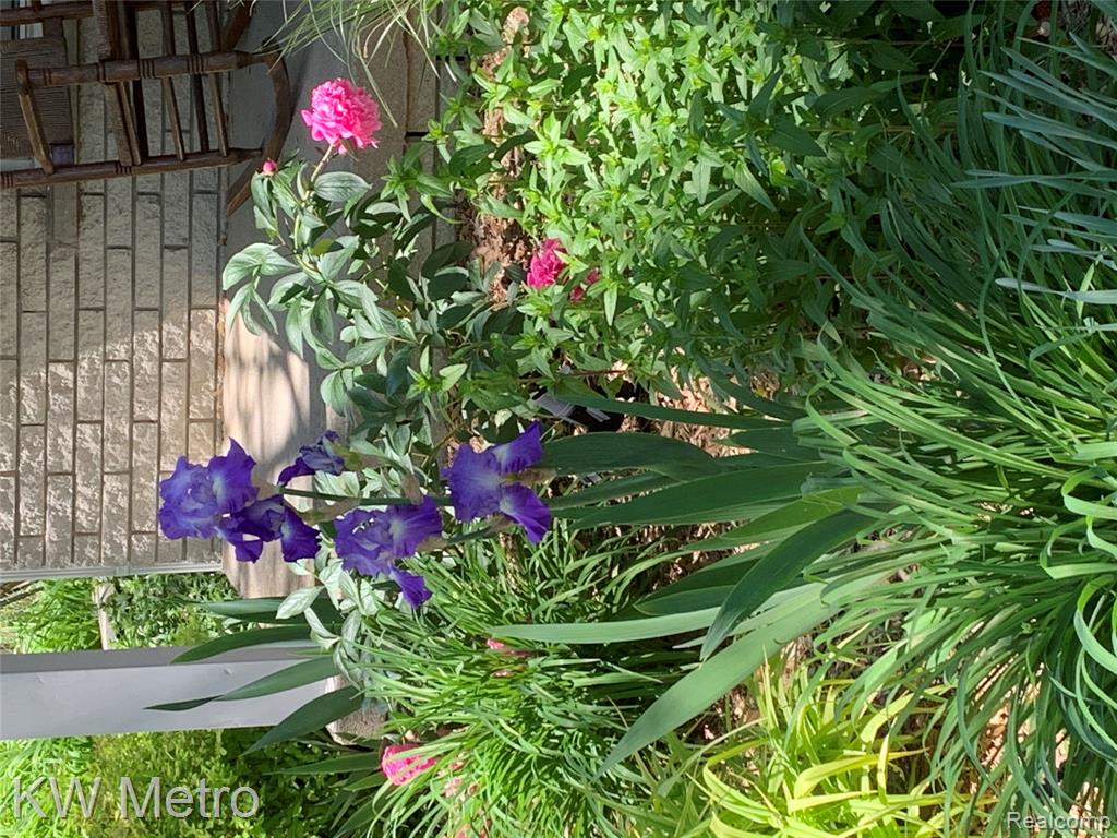 531 N Manitou Avenue, Clawson, MI — Photo 19