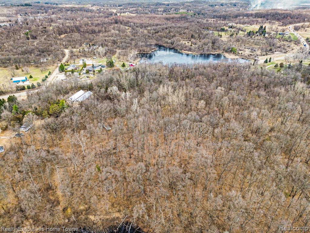 6015 Us Highway 12, Tipton, MI 49287 — Photo 16