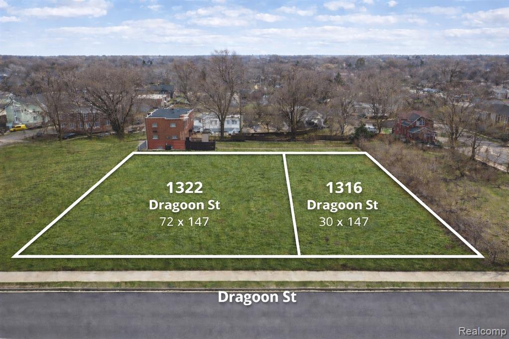 1322 Dragoon Street, Detroit, MI 48209