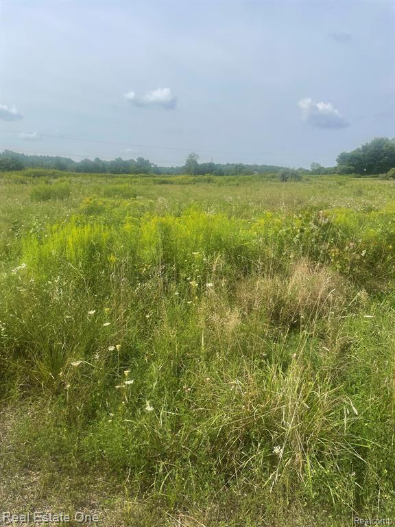 Parcel 2 Deerfield Meadows, Almont, MI 48003 — Photo 2