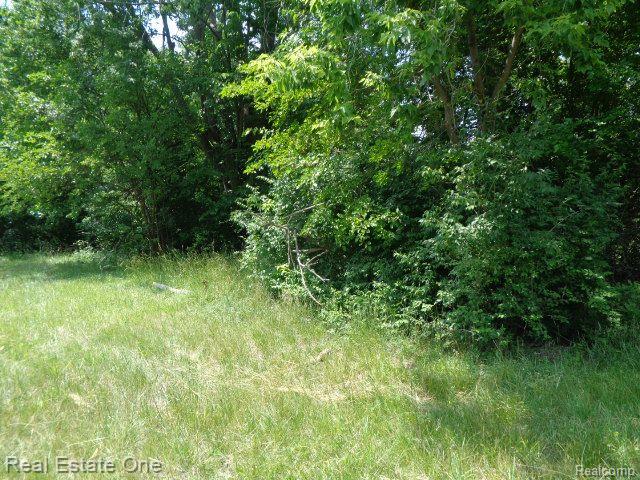 14605 DACOSTA Street, Detroit, MI 48223 — Photo 8