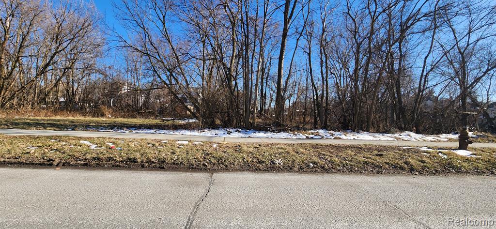 402 E EUCLID Street, Detroit, MI 48202 — Photo 2