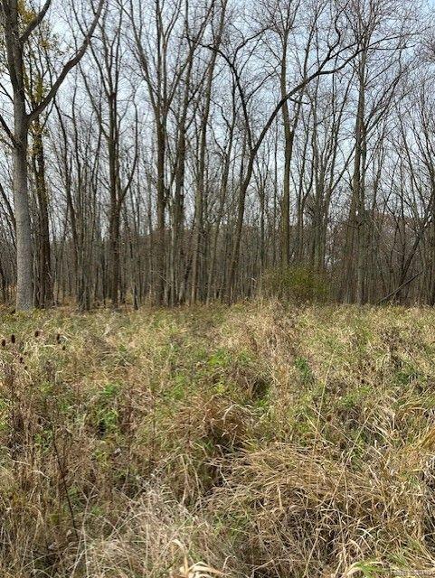 8438 JORDAN Road, Grand Blanc, MI 48439 — Photo 9