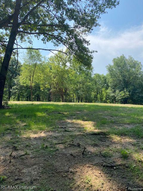 5 Sleaford-Parcel 5 - 2.5 Acres Road, Howell, MI 48843 — Photo 20