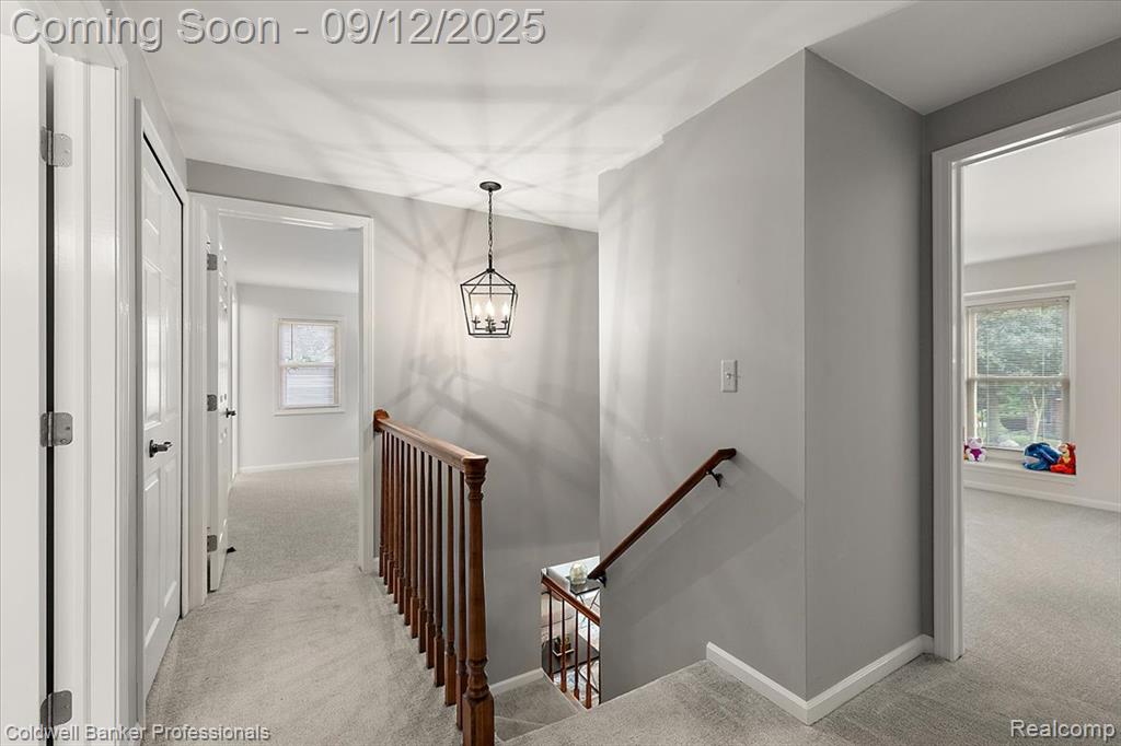 49238 Plum Tree Drive, Plymouth, MI 48170 — Photo 39