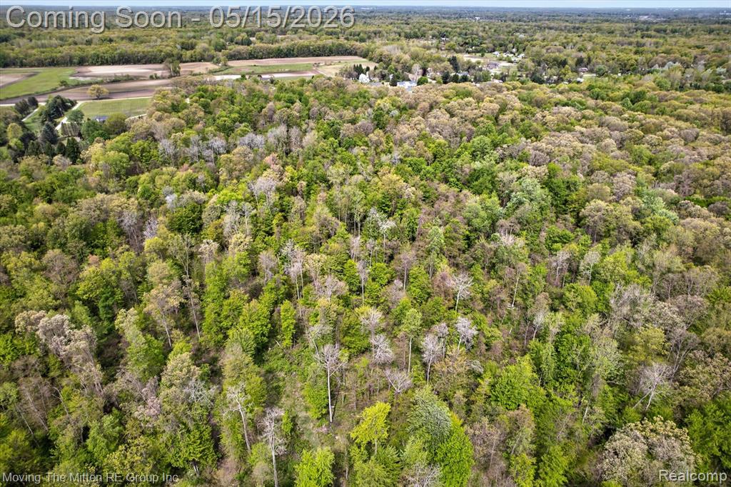 22530 Bohn Road, Belleville, MI 48111 — Photo 15