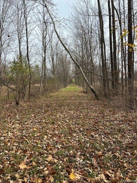 8438 JORDAN Road, Grand Blanc, MI 48439 — Photo 22