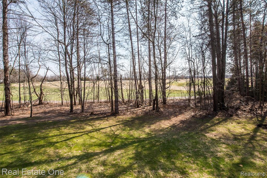 4387 Emu Drive, Pinckney, MI 48169 — Photo 25