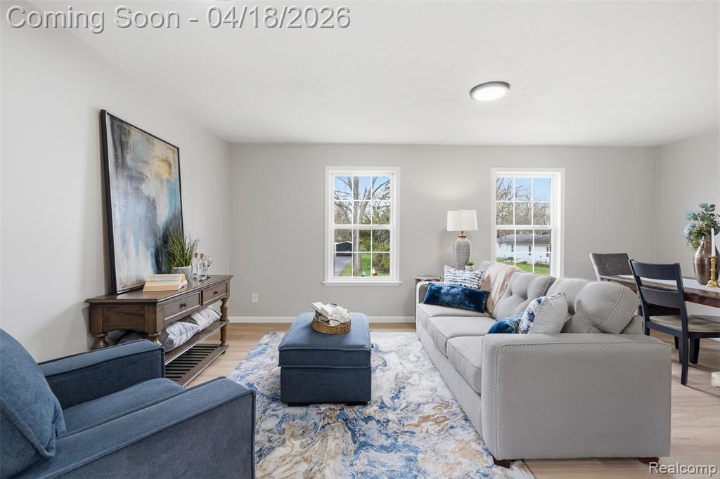 118 Gale Street, Morrice, MI 48857 — Photo 12