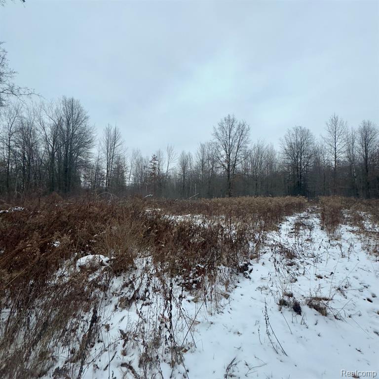 14108 SHERIDAN Road, Montrose, MI 48457 — Photo 7