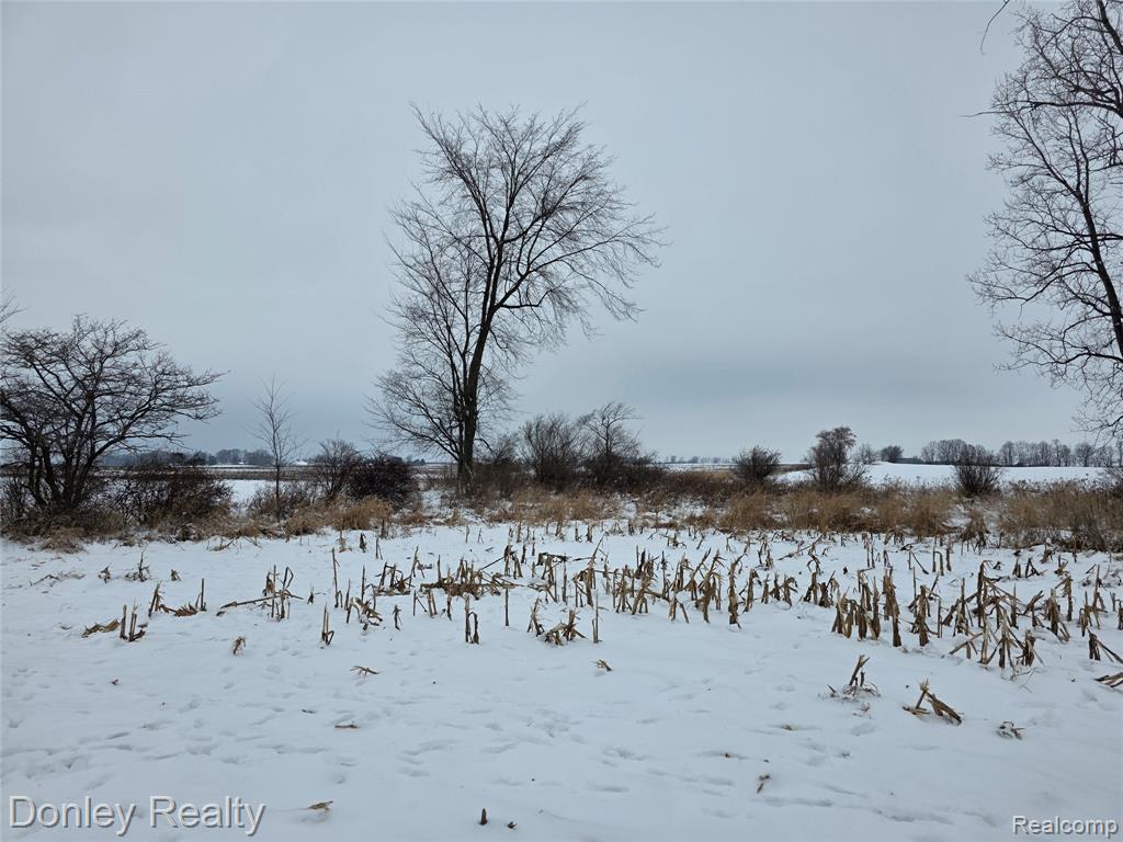 9999 Montgomery, Sanilac, MI 48453 — Photo 5