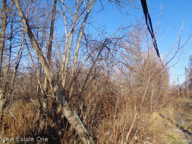 18088 PELKEY Street, Detroit, MI 48205 — Photo 7