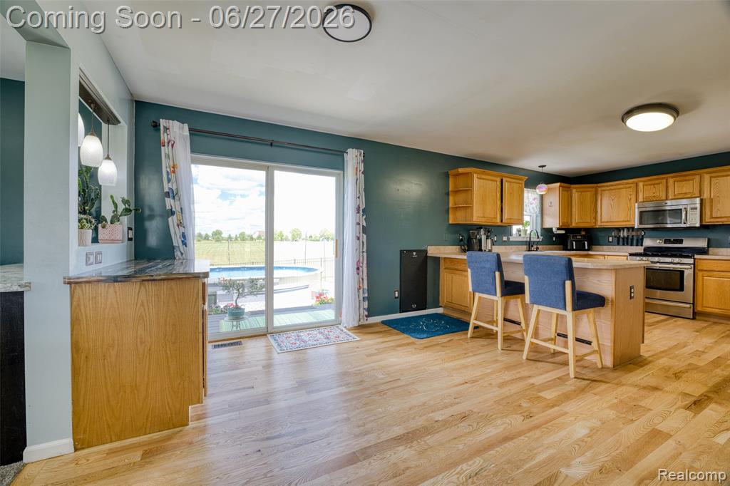 17204 Country Lane, Manchester, MI 48158 — Photo 10