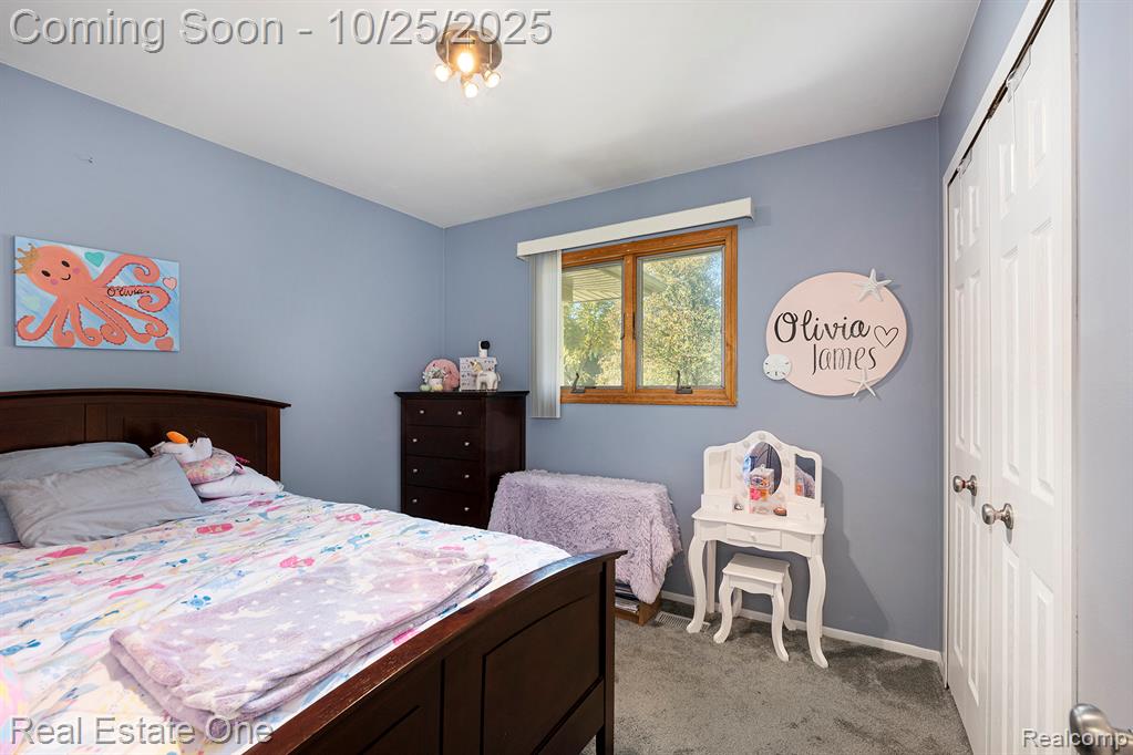 42002 Coulon Drive, Clinton Twp, MI 48038 — Photo 11