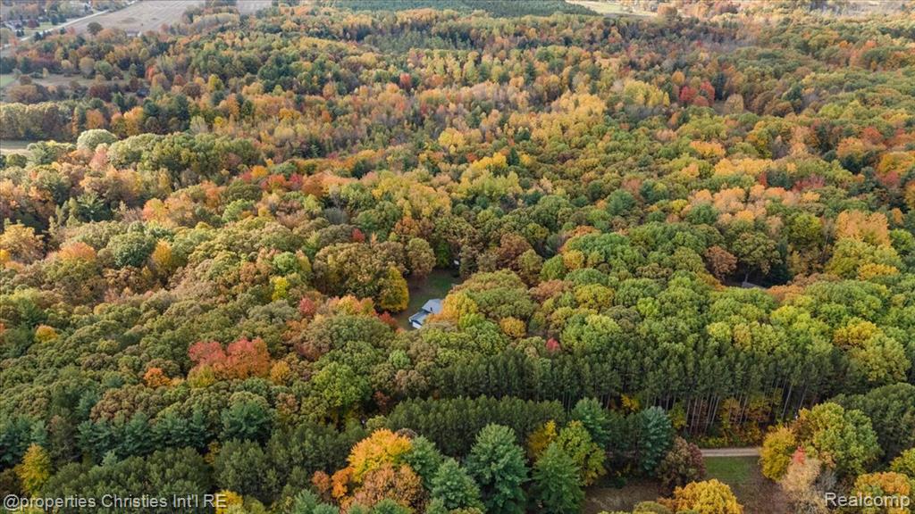 4121 Country Road, Otter Lake, MI 48464 — Photo 26