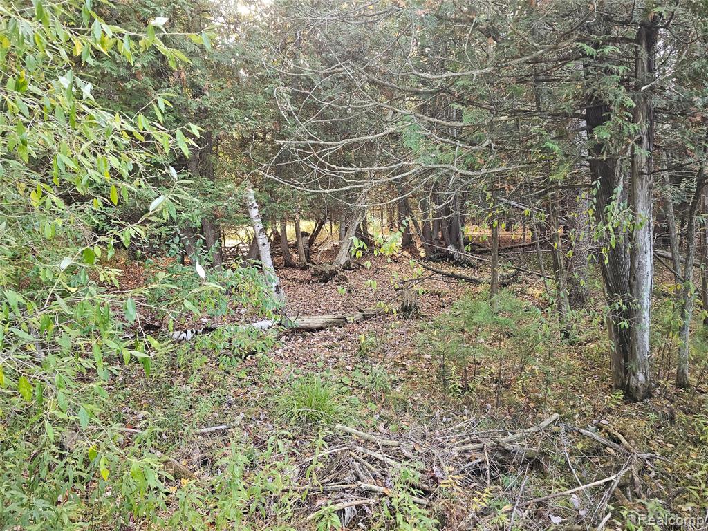 4901 M-55, Tawas City, MI 48763 — Photo 24