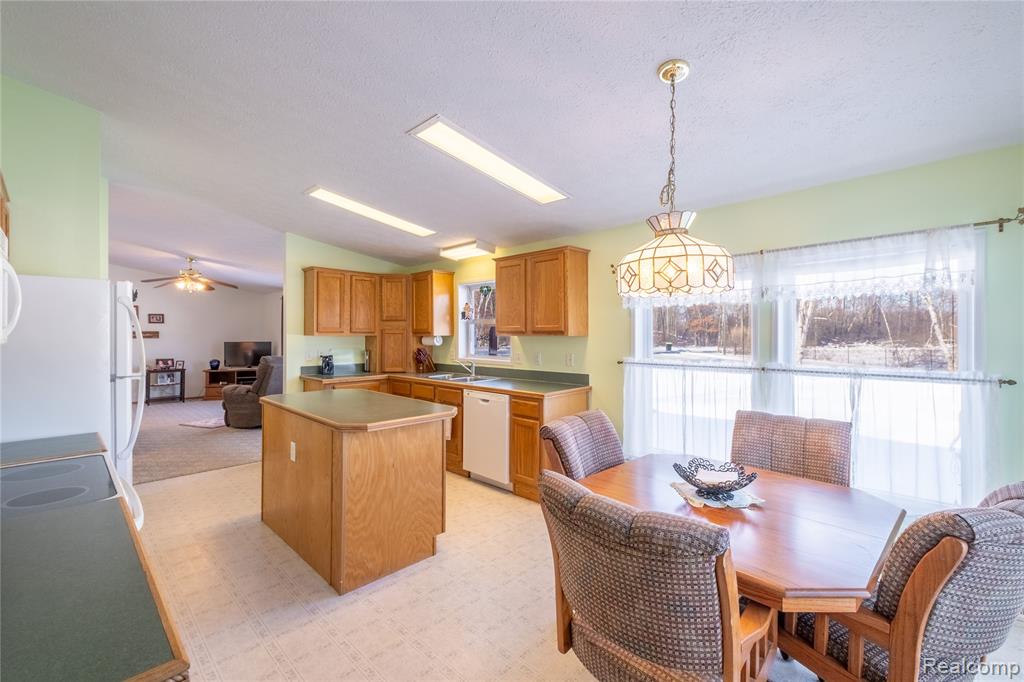 11944 N Wise Road, Clare, MI 48617 — Photo 5