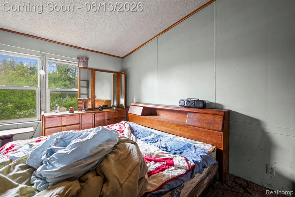 51105 Arkona Road, Belleville, MI 48111 — Photo 13