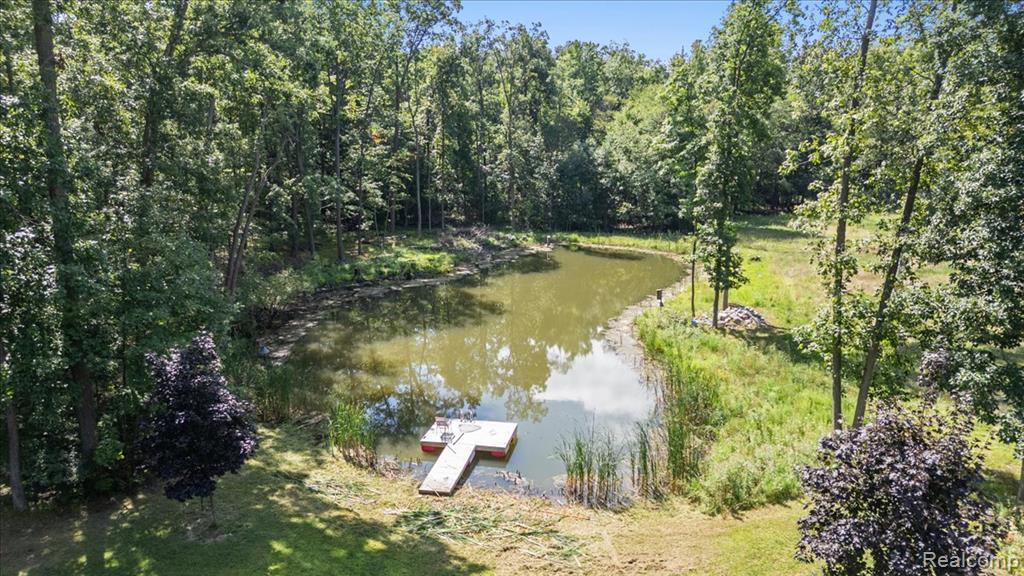 9274 Argentine Road, Linden, MI 48451 — Photo 30