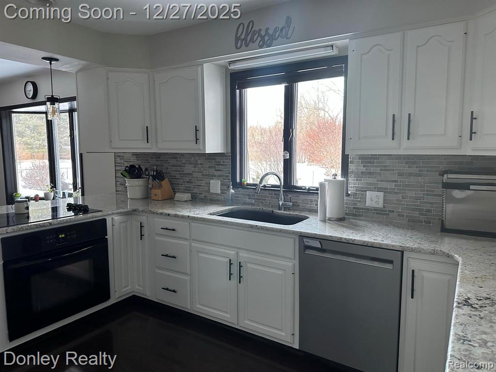 232 W Mills Street, Sandusky, MI 48471 — Photo 4