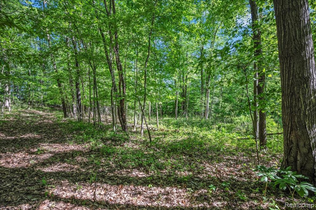 6250 Stine Road, Imlay City, MI 48444 — Photo 72