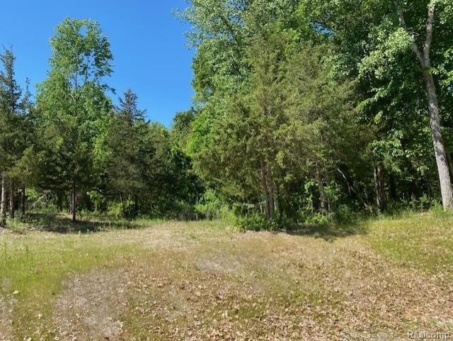 Lot 5 Dollar Ridge Lane, South Lyon, MI 48178 — Photo 2