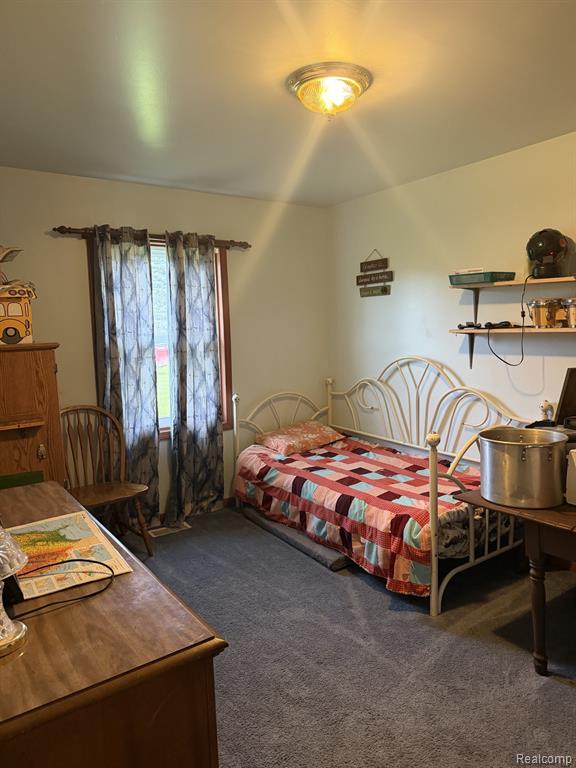 5200 Mayville Road, MI — Photo 13