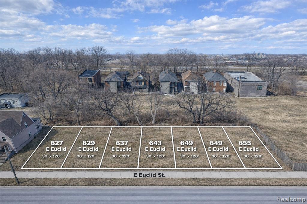 627 E Euclid Street, Detroit, MI 48202 — front exterior