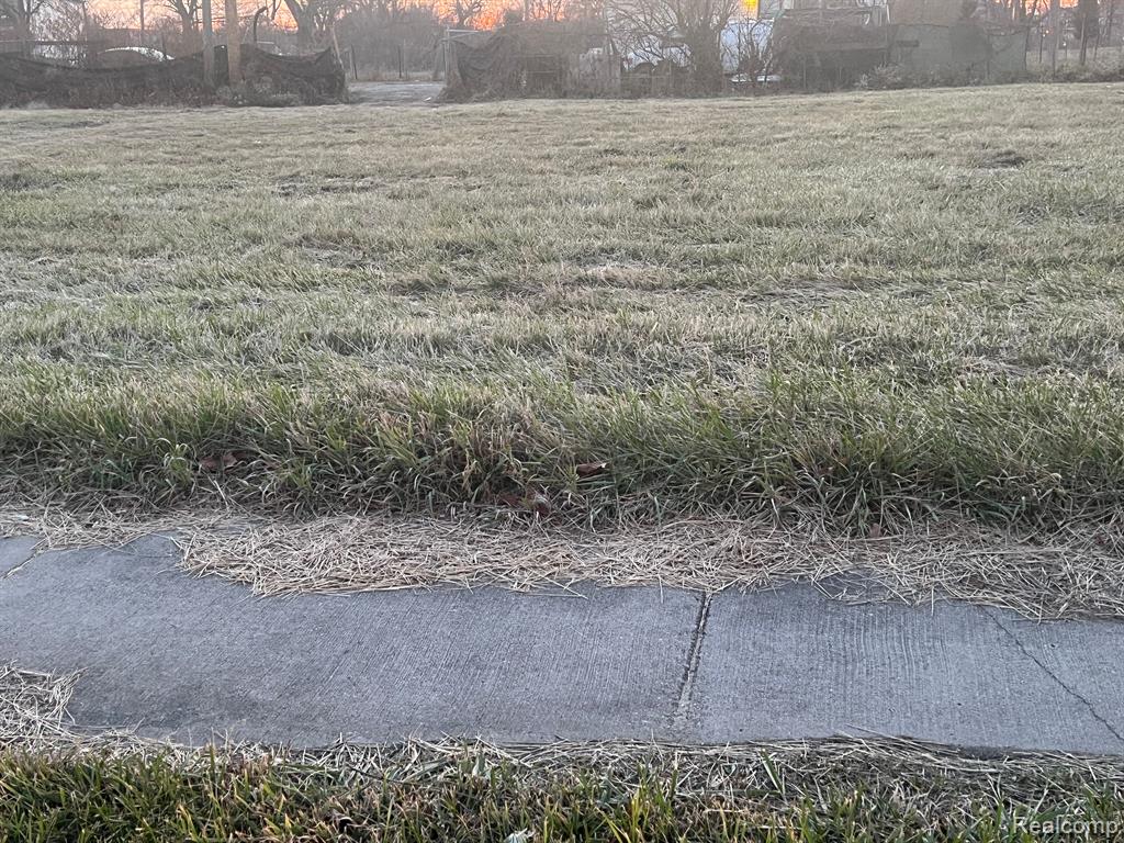 9041 CHRYSLER Drive, Detroit, MI 48211 — Photo 2