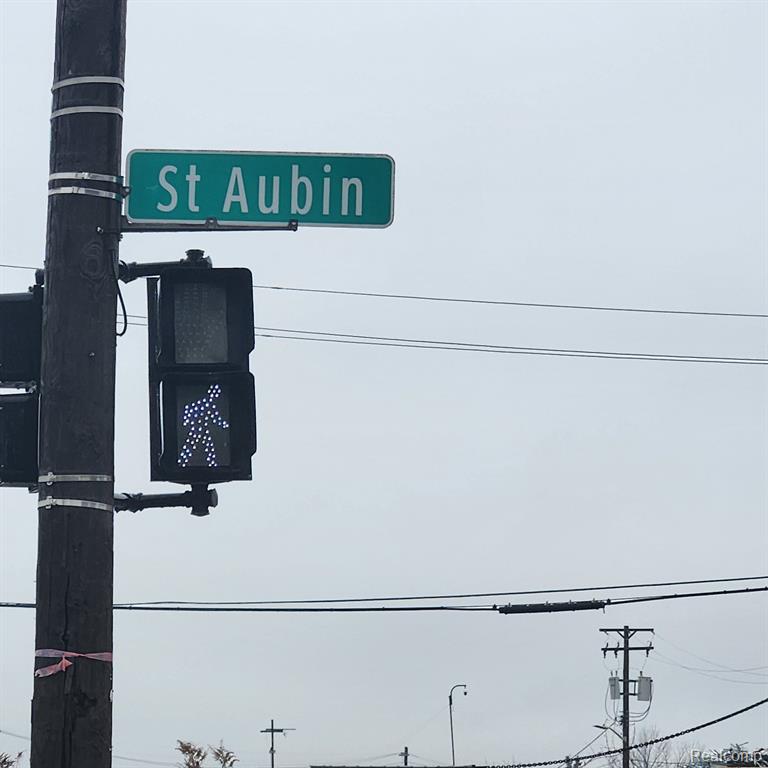 3604 SAINT AUBIN Street, Detroit, MI 48207 — Photo 6