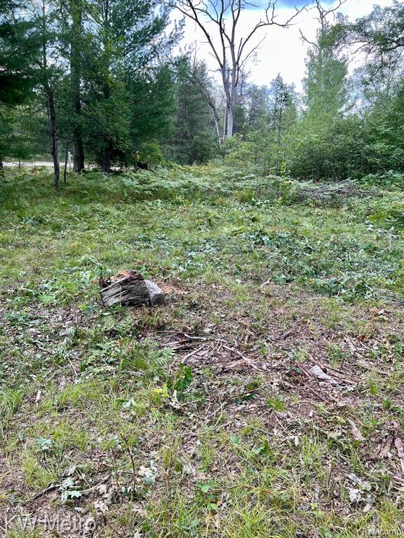 6629 S Tampa, Idlewild, MI 49642 — Photo 16