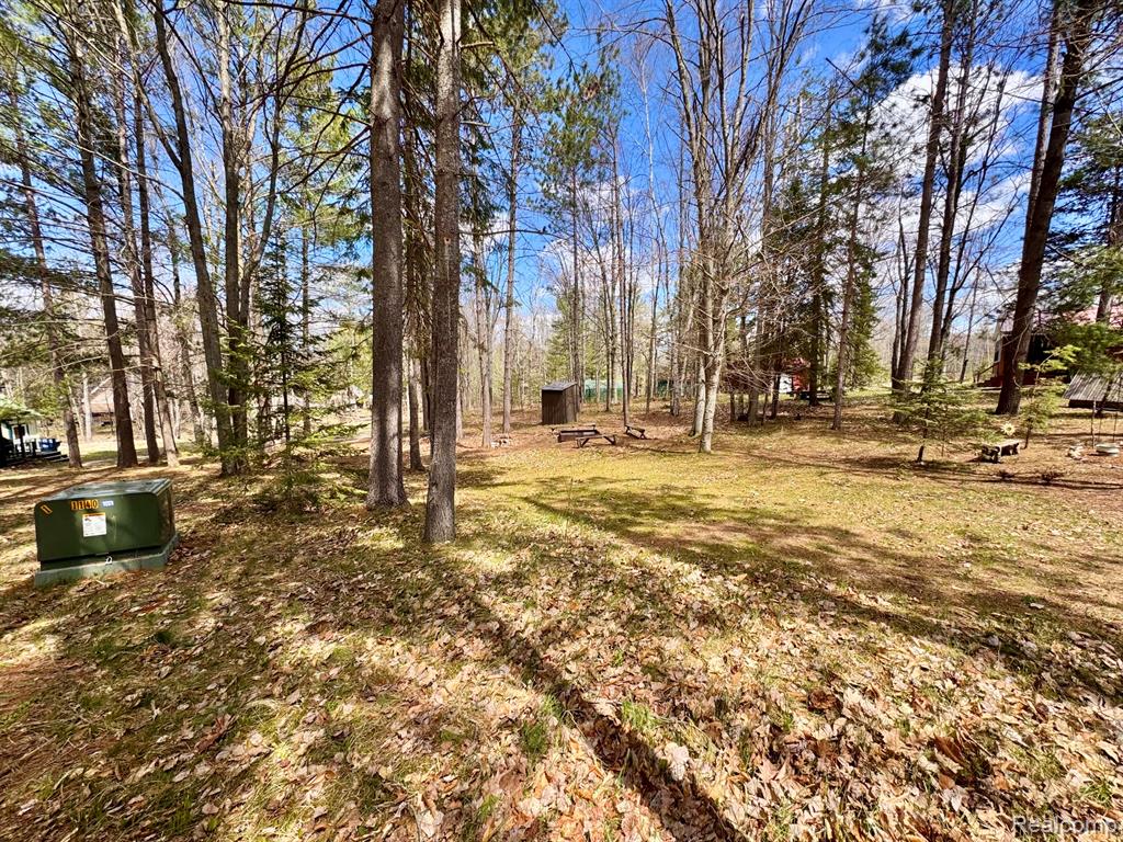 10931 ROBERTS RD N, Frederic, MI 49733 — Photo 29