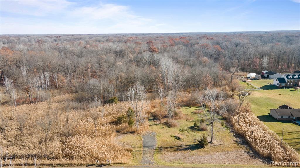 23901 Sumpter Road, Belleville, MI 48111 — Photo 9